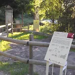 Arcos De