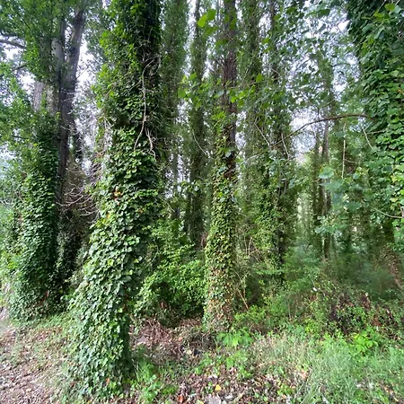 Prázdninový dům Arcos De