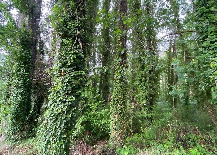 Vakantiehuis Arcos De