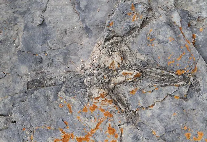 Vakantiehuis Arcos De *